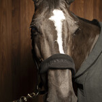 PUISSANCE FLEECE HALTER-MODEL 2 PUISSANCE BLACK SILVER