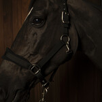 PUISSANCE FLEECE HALTER-MODEL 1 BLACK SILVER
