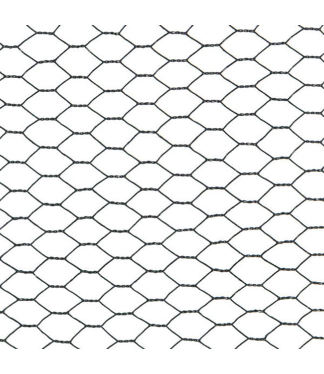 B-keus Kippengaas 13mm 1,00mm 100cm x 50m Groen