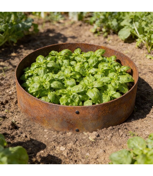 Garmix 40cm OD round corten steel for plant growing