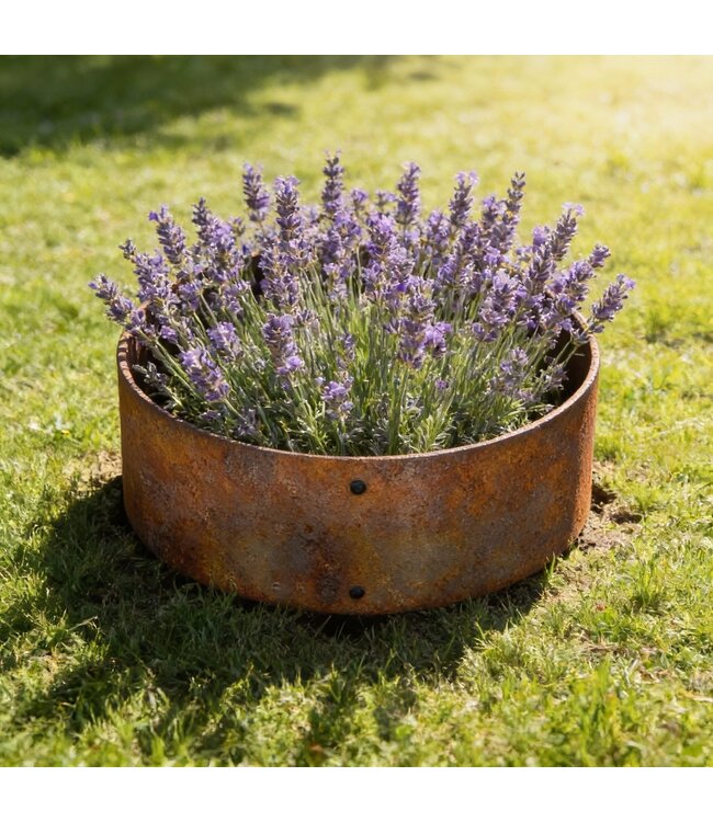 Garmix 40cm OD round corten steel for plant growing