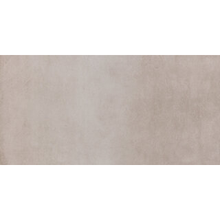 CeraVision Neos Taupe Mat 30x60,9