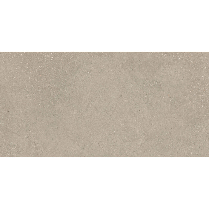 CeraVision Integra Greige Mat 60x120 Rett