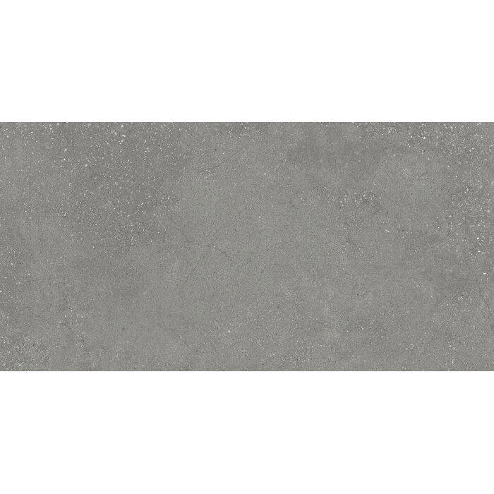 CeraVision Integra Gray Mat 60x120 Rett