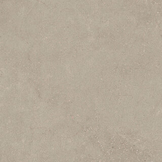 CeraVision Integra Greige Mat 60x60 Rett