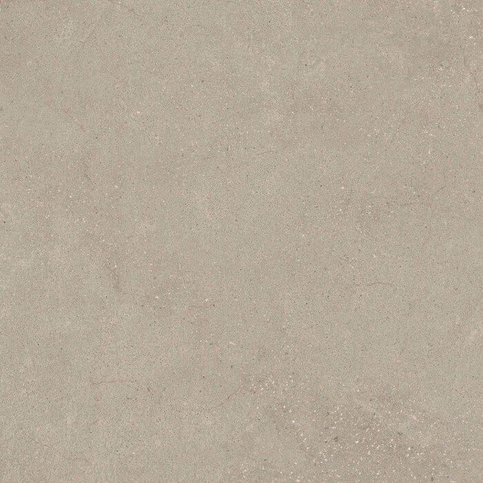 CeraVision Integra Greige Mat 60x60 Rett