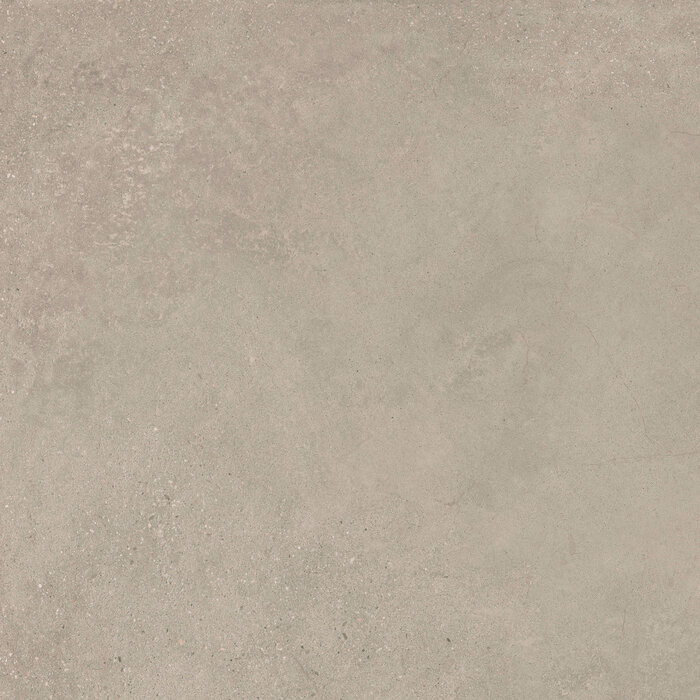 CeraVision Integra Greige Mat 60x60 Rett