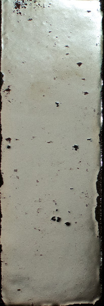 CeraVision London Calling Silver Glans 3,7x11,6