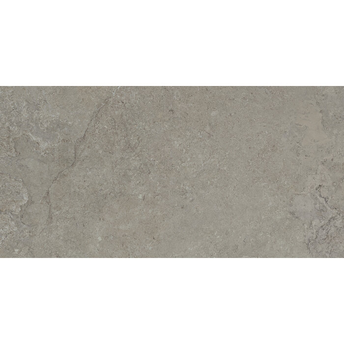 CeraVision Dorset Greige Mat 60x120 Rett