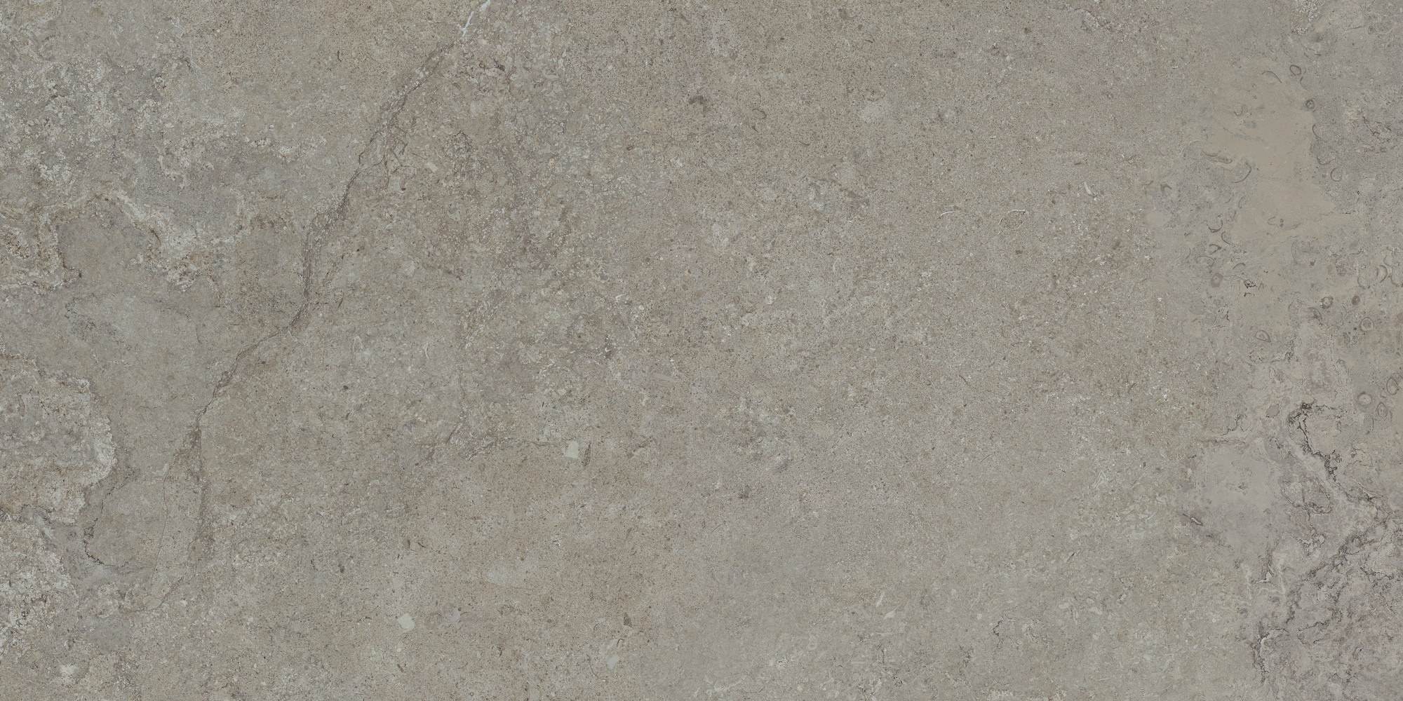 CeraVision Dorset Greige Mat 60x120 Rett