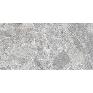 CeraVision Mun Grey Mat 59,5x119,2 Rett