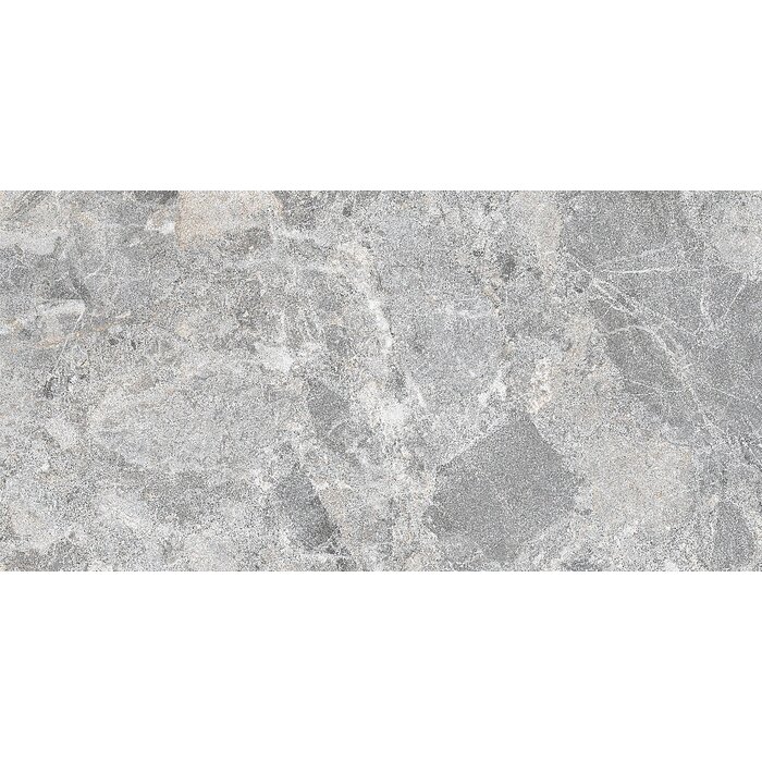 CeraVision Mun Grey Mat 59,5x119,2 Rett