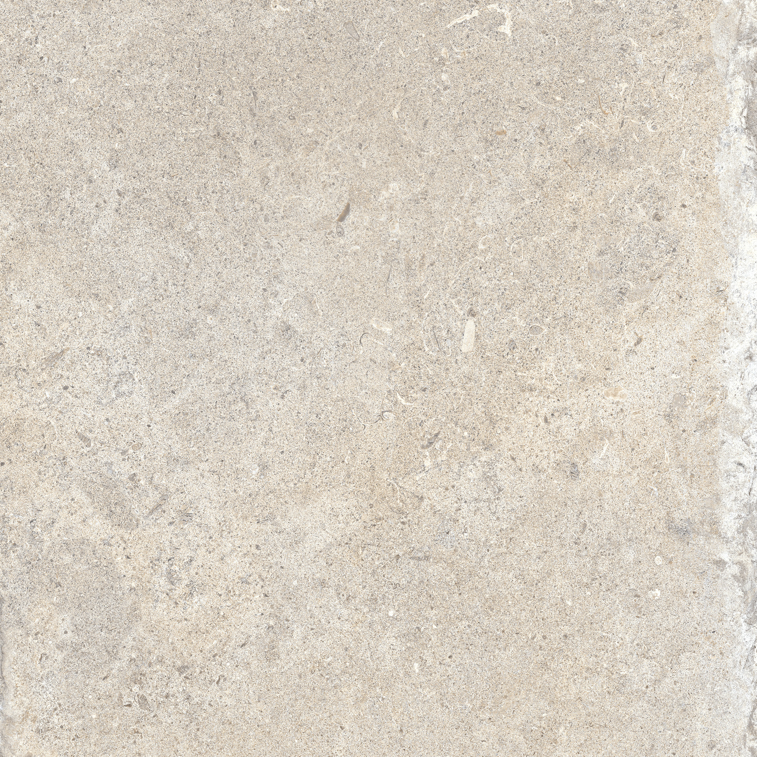 CeraVision Signature Stone Beige Mat 59,7x59,7 Rett