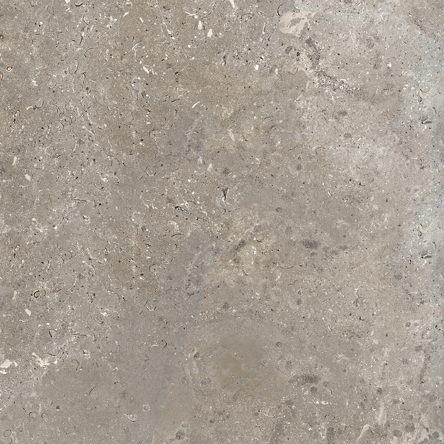 CeraVision Signature Stone Dark Mat 59,7x59,7 Rett