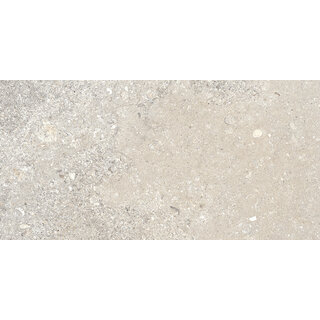 CeraVision Signature Stone Beige Mat 59,7x119,7 Rett