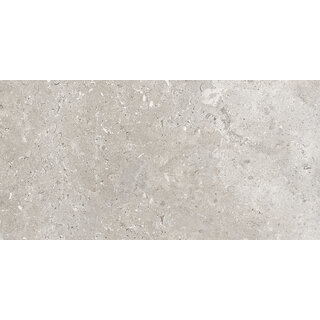 CeraVision Signature Stone Grey Mat 59,7x119,7 Rett
