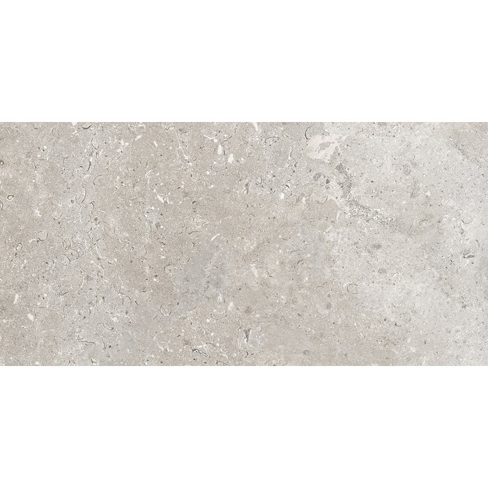 CeraVision Signature Stone Grey Mat 59,7x119,7 Rett