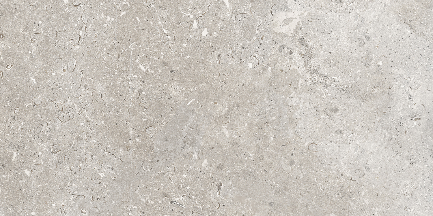 CeraVision Signature Stone Grey Mat 59,7x119,7 Rett