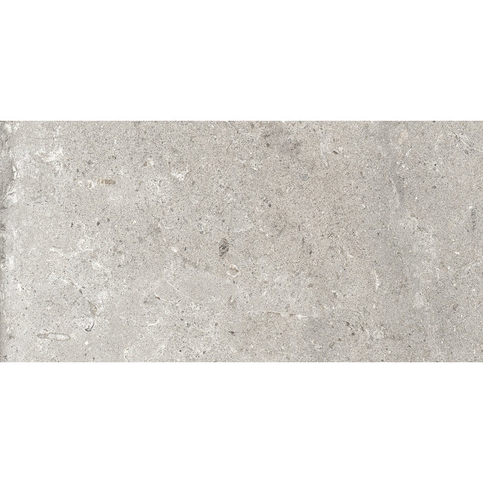 CeraVision Signature Stone Grey Mat 59,7x119,7 Rett