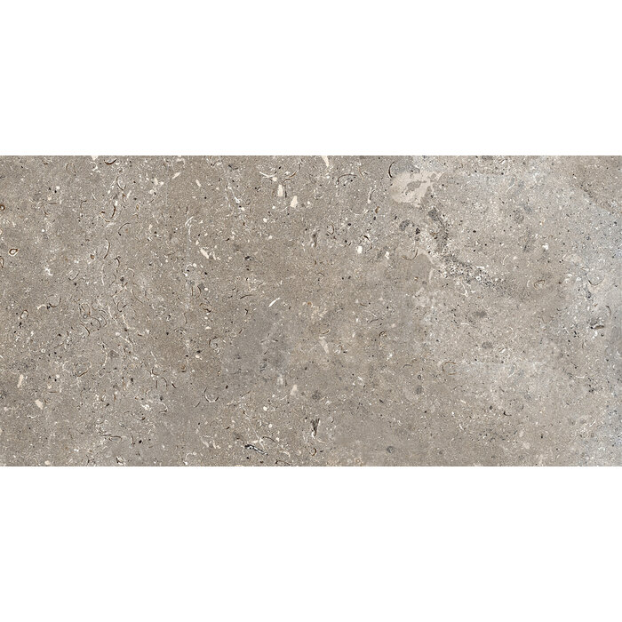 CeraVision Signature Stone Dark Mat 59,7x119,7 Rett