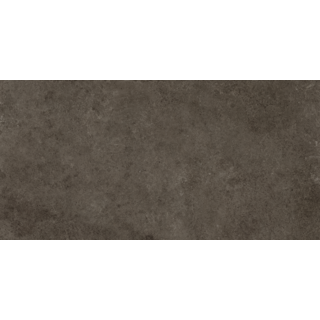 CeraVision 1,44m2 Codec Antraciet R11 Rtt 30x60