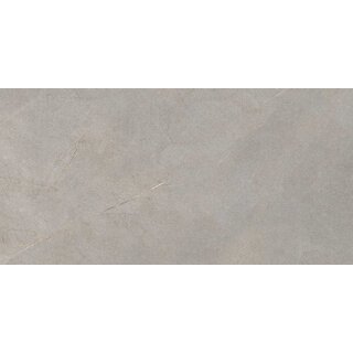 Excellent Collectie Serra Grey Mat 60x120 Rett