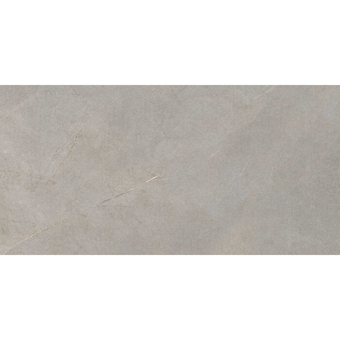 Excellent Collectie Serra Grey Mat 60x120 Rett