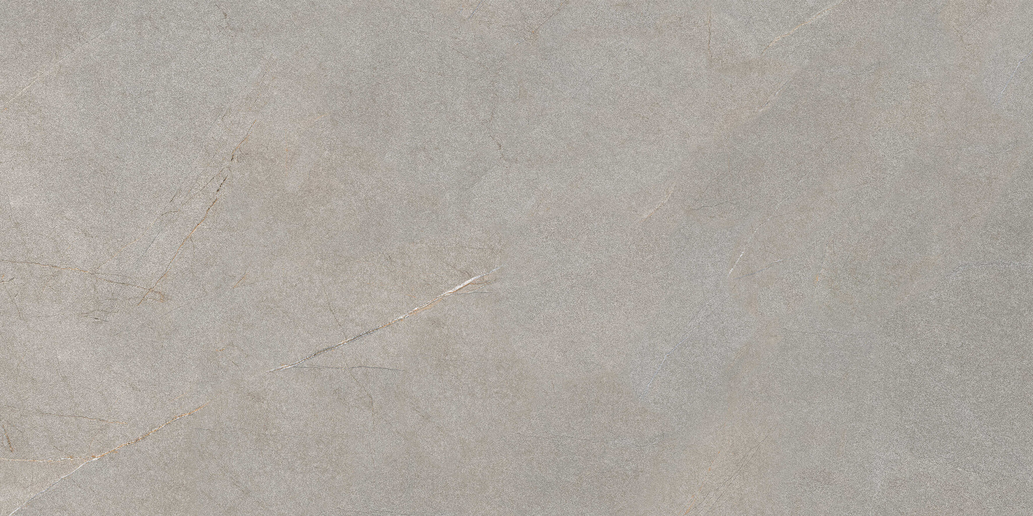 Excellent Collectie Serra Grey Mat 60x120 Rett