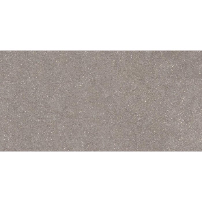 Casalgrande Padana Stile French Grey Natural 60x120