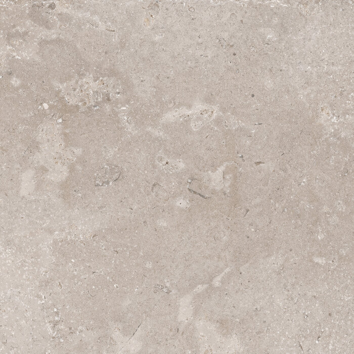 CeraVision Timeless Taupe Mat 60x60 Rett