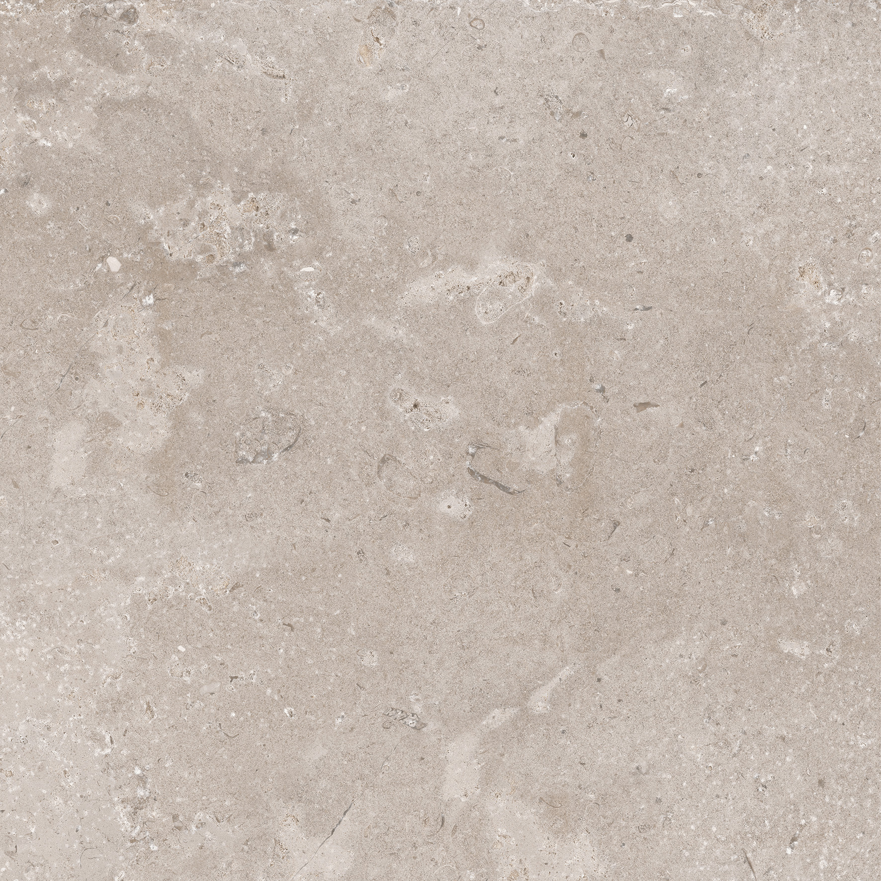 CeraVision Timeless Taupe Mat 60x60 Rett
