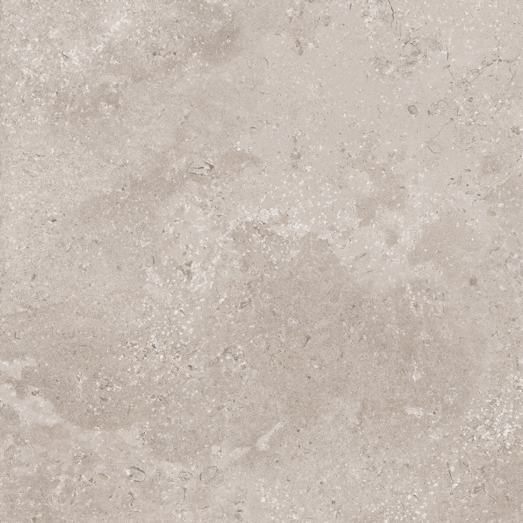 CeraVision Timeless Taupe Mat 60x60 Rett