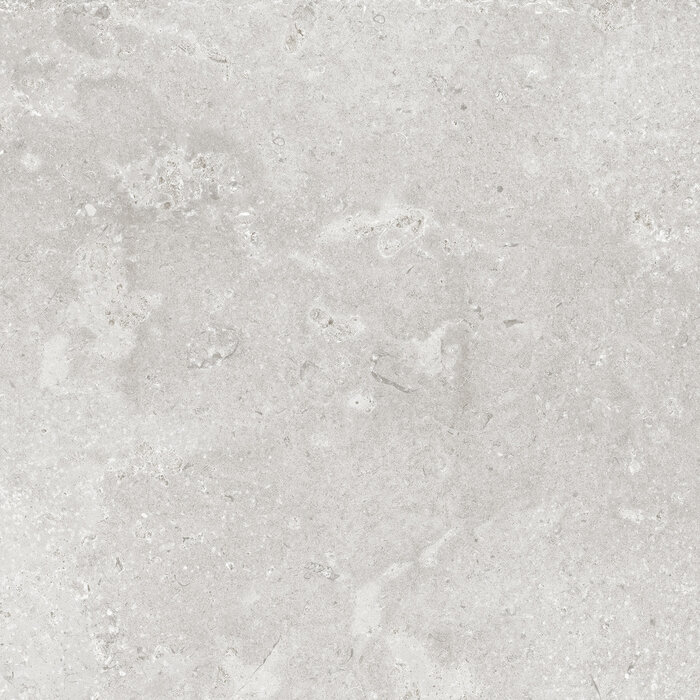 CeraVision Timeless Grey Mat 60x60 Rett