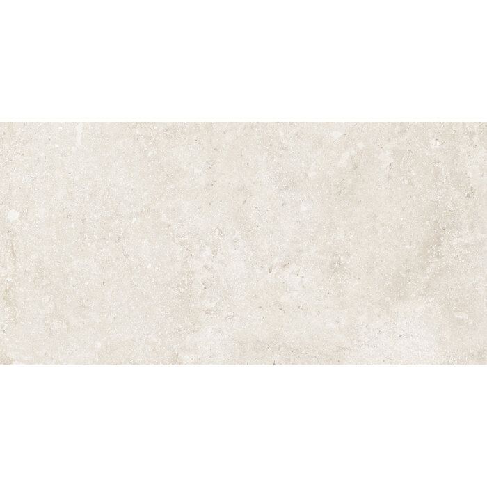 CeraVision Timeless Ivory Mat 60x119,8 Rett