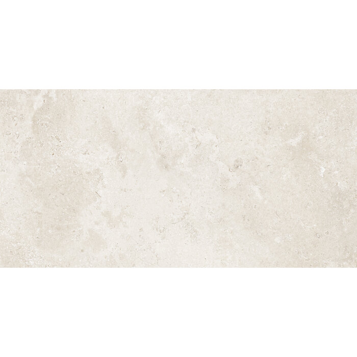CeraVision Timeless Ivory Mat 60x119,8 Rett