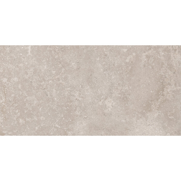 CeraVision Timeless Taupe Mat 60x119,8 Rett