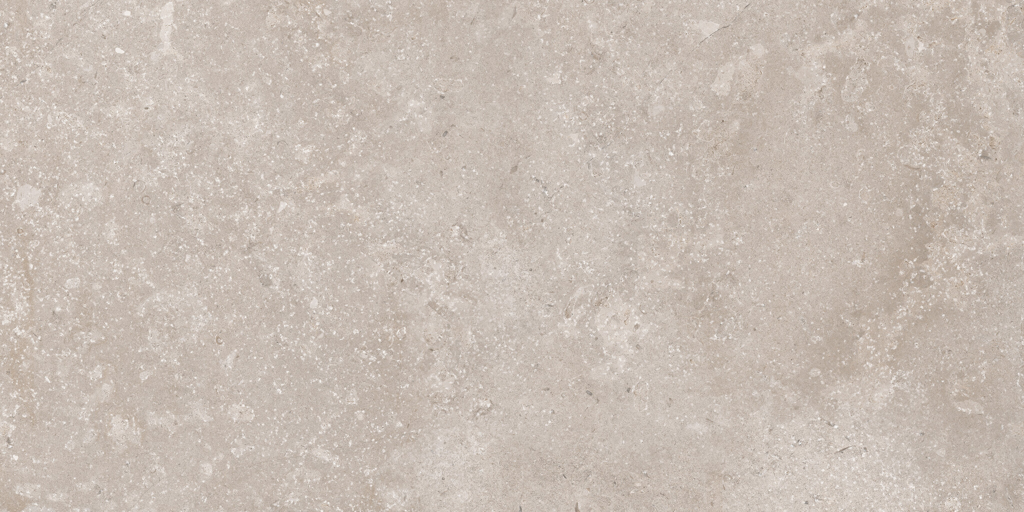CeraVision Timeless Taupe Mat 60x119,8 Rett