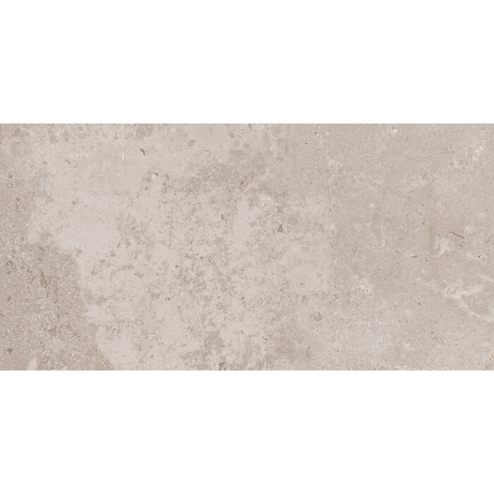 CeraVision Timeless Taupe Mat 60x119,8 Rett