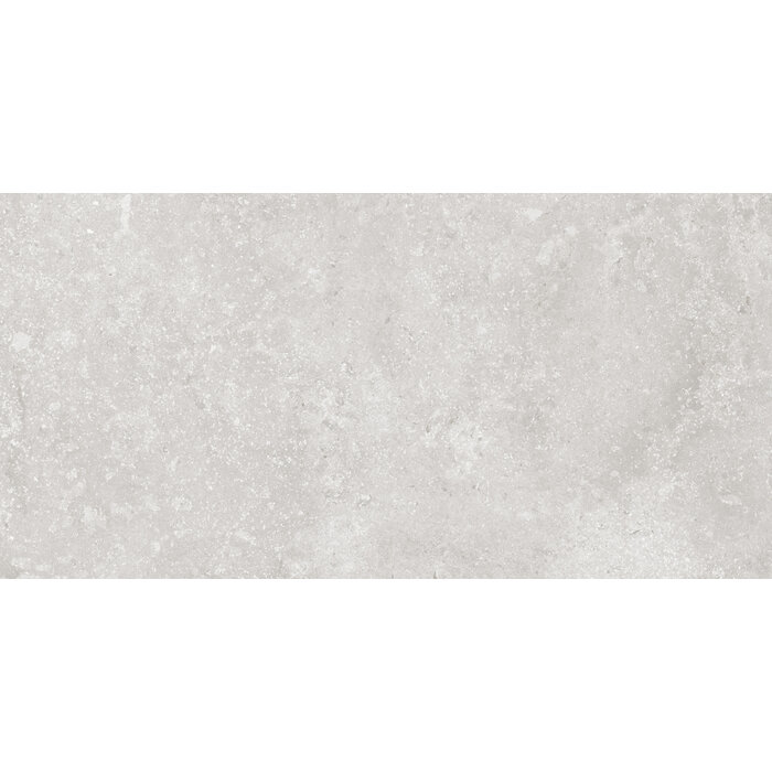 CeraVision Timeless Grey Mat 60x119,8 Rett