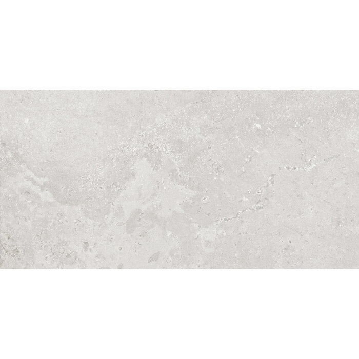 CeraVision Timeless Grey Mat 60x119,8 Rett