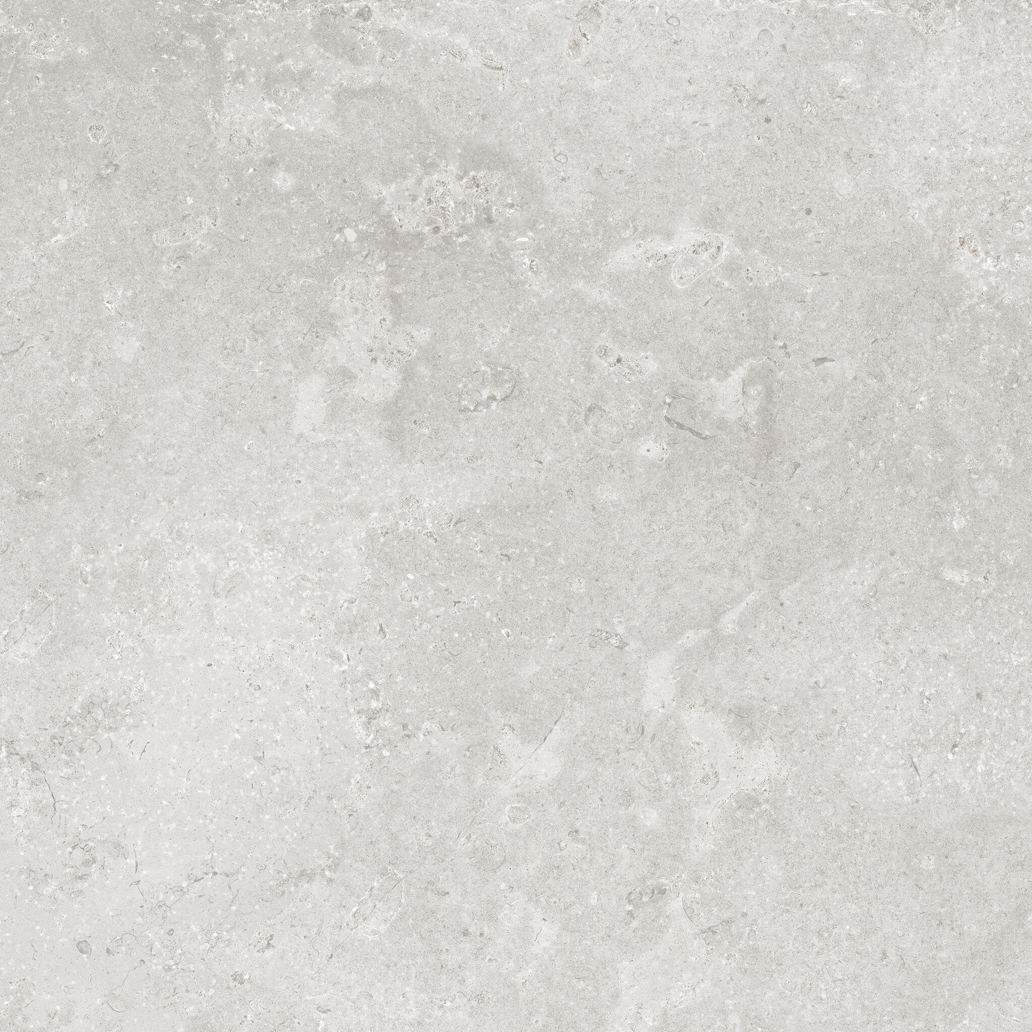 CeraVision Timeless Grey Mat 80,2x80,2 Rett