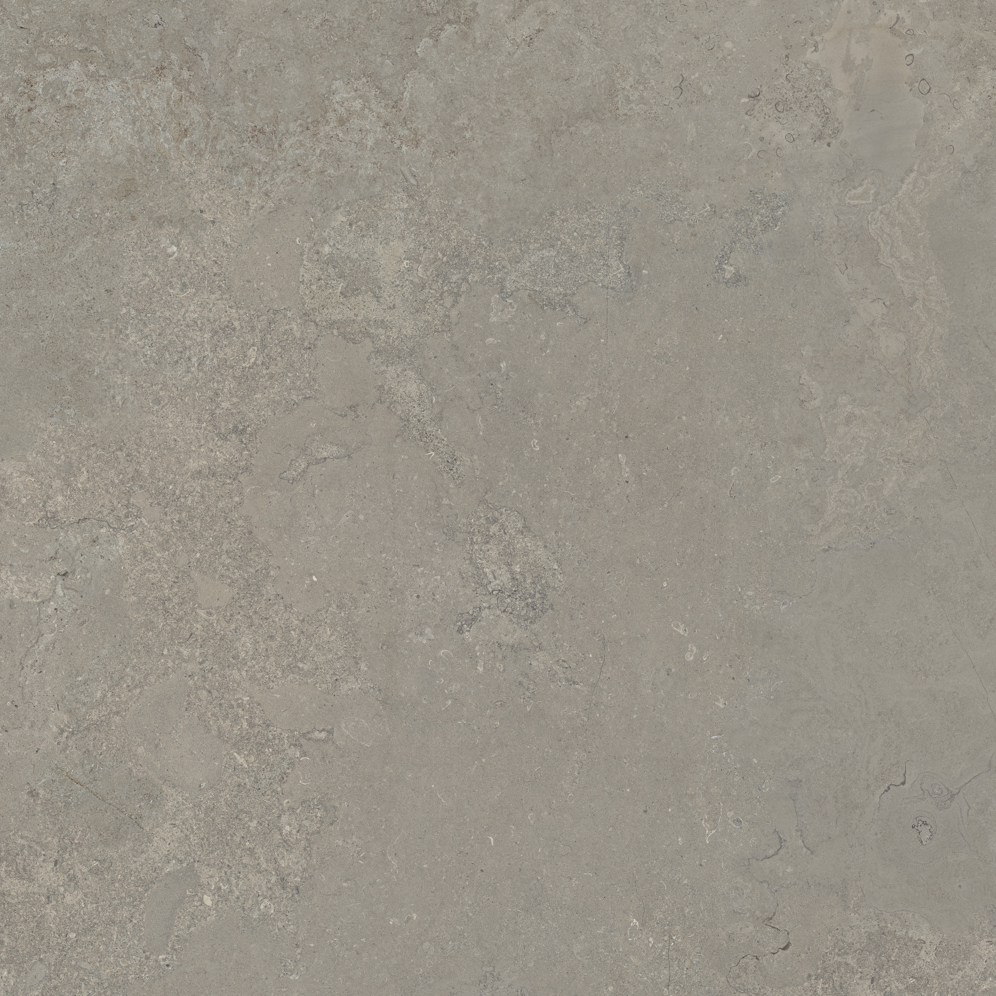 CeraVision Dorset Greige Mat 120x120 Rett