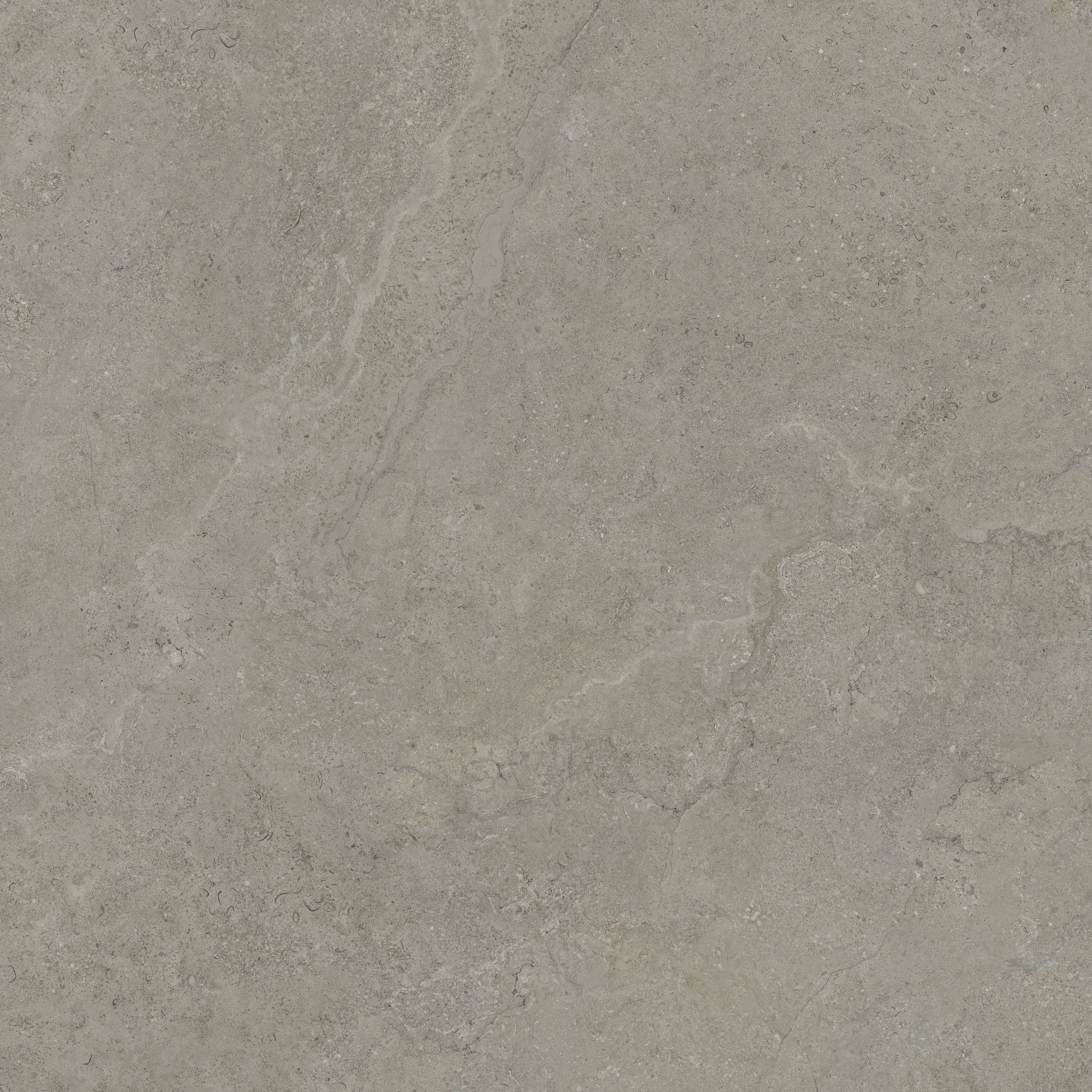 CeraVision Dorset Greige Mat 120x120 Rett