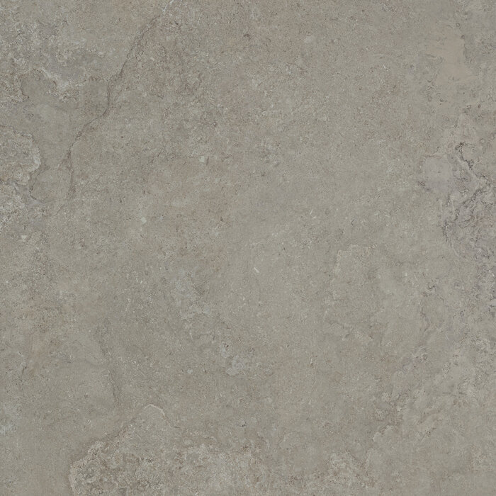 CeraVision Dorset Greige Mat 120x120 Rett