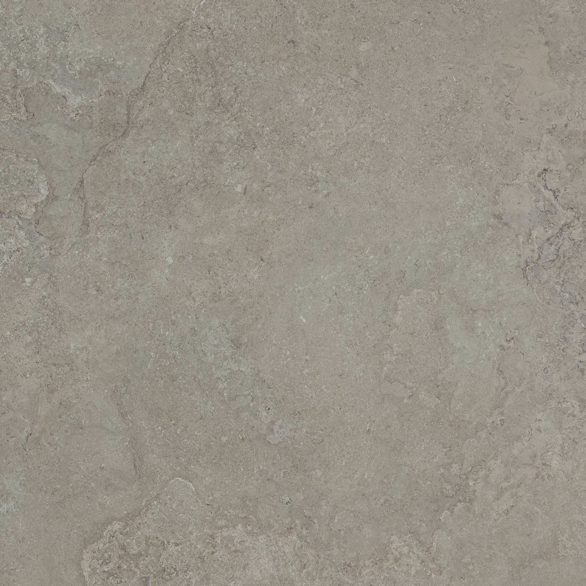 CeraVision Dorset Greige Mat 120x120 Rett