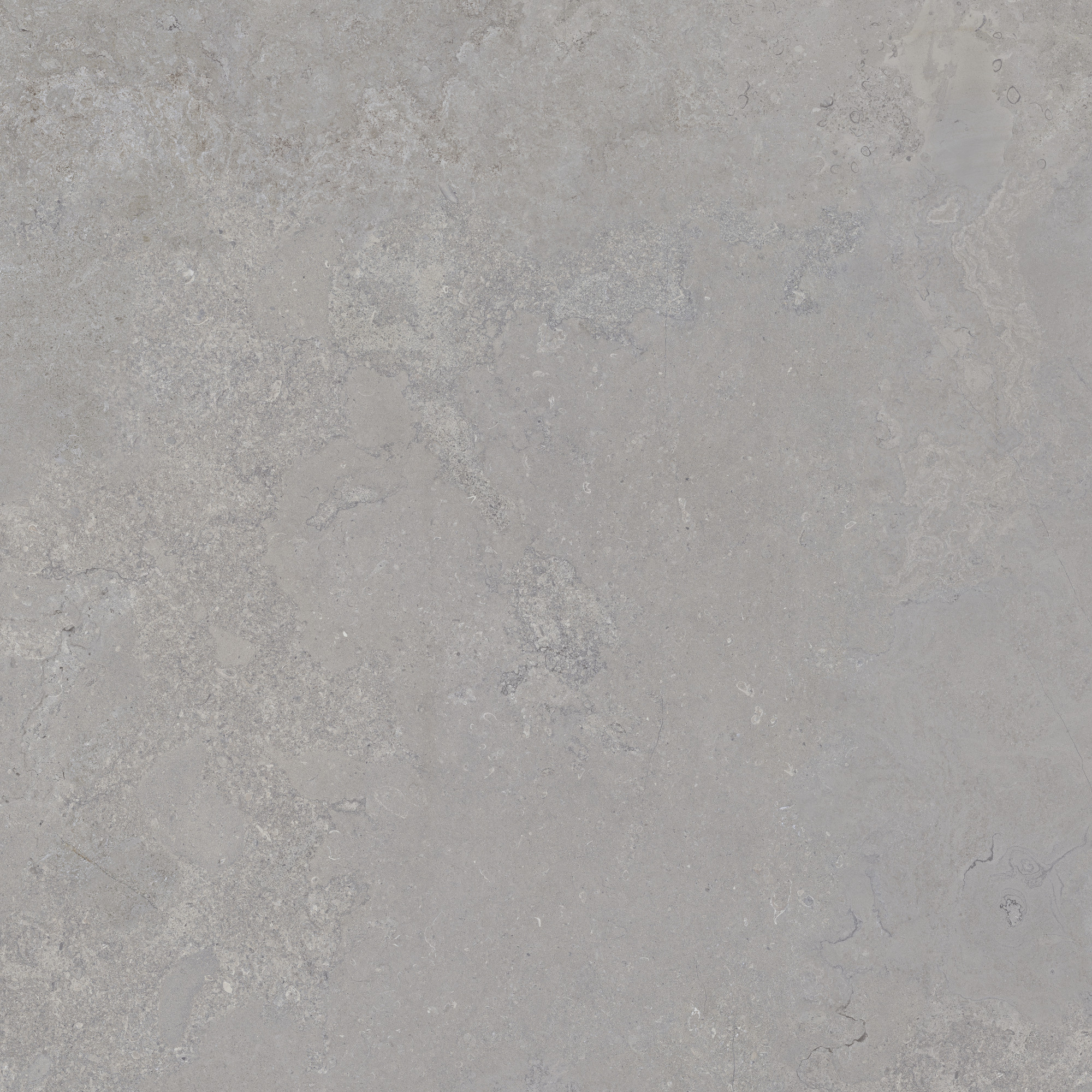 CeraVision Dorset Silver Mat 120x120 Rett