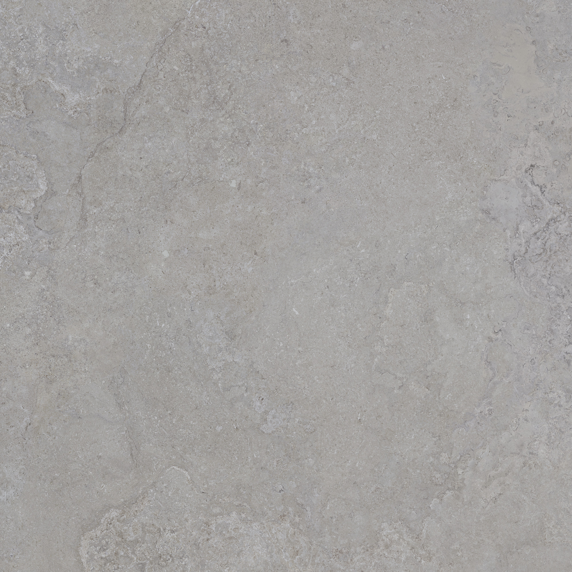 CeraVision Dorset Silver Mat 120x120 Rett