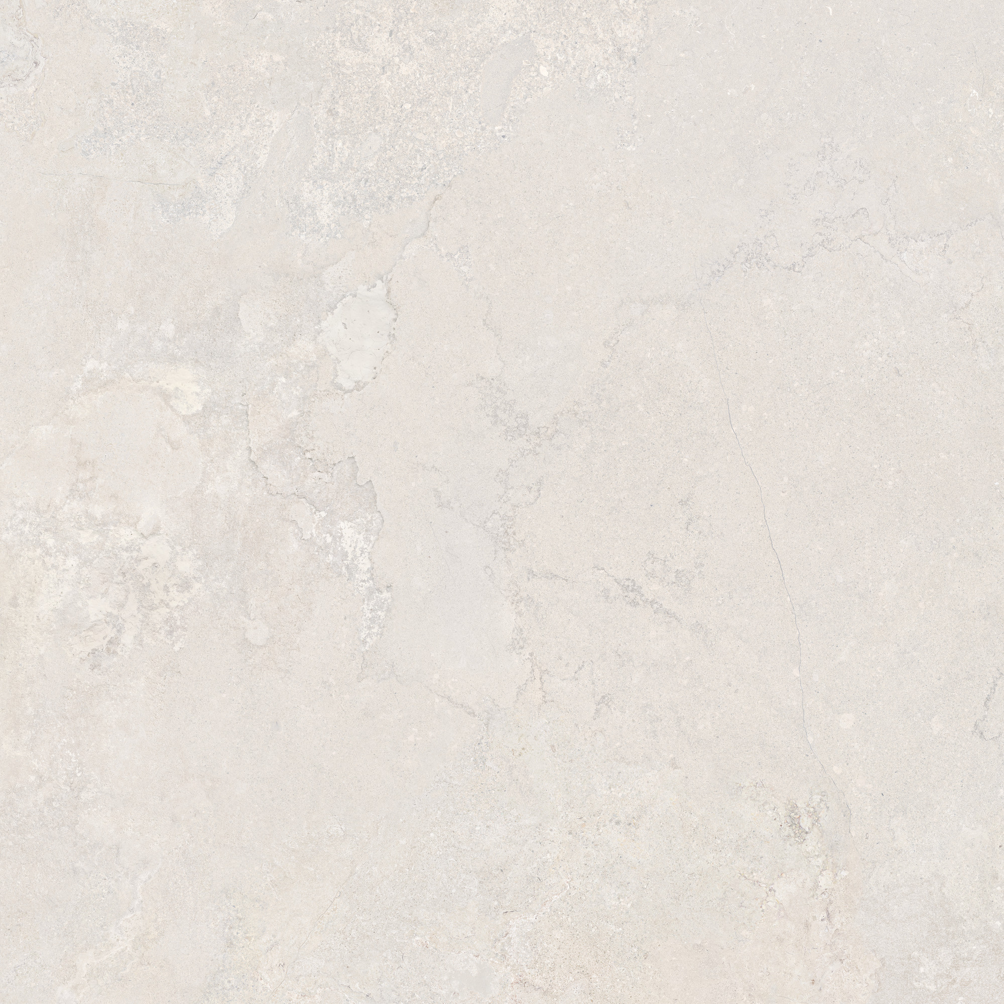 CeraVision Dorset White Mat 120x120 Rett