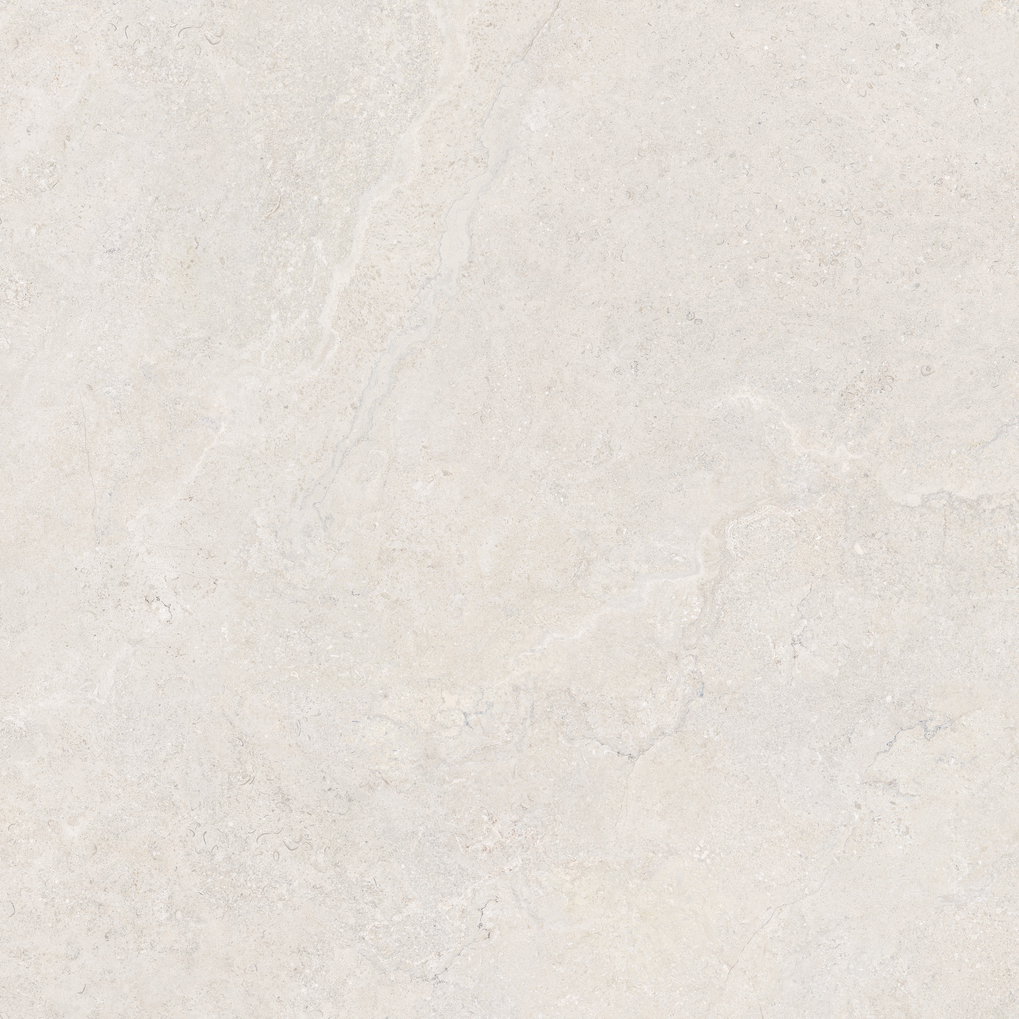 CeraVision Dorset White Mat 120x120 Rett