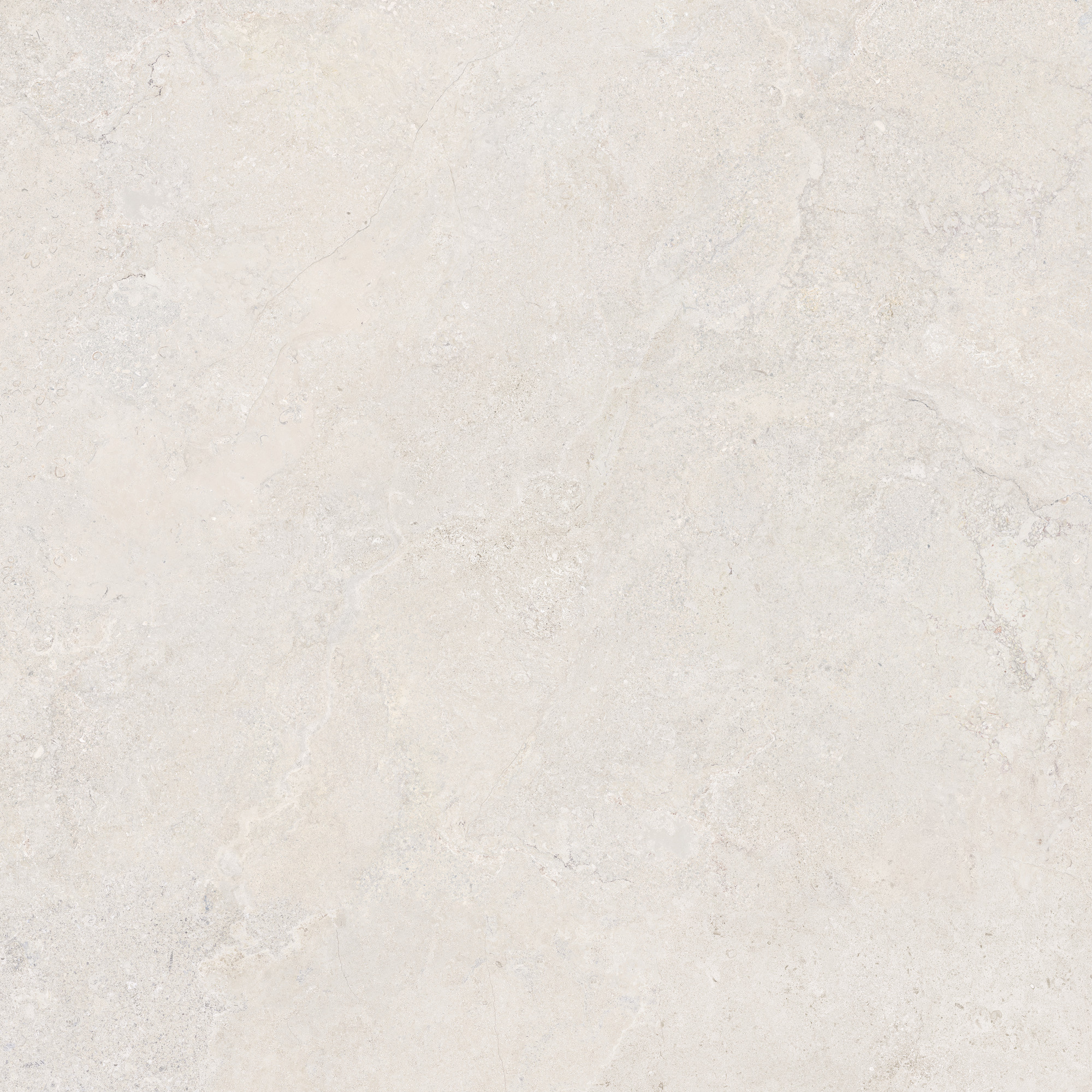 CeraVision Dorset White Mat 120x120 Rett